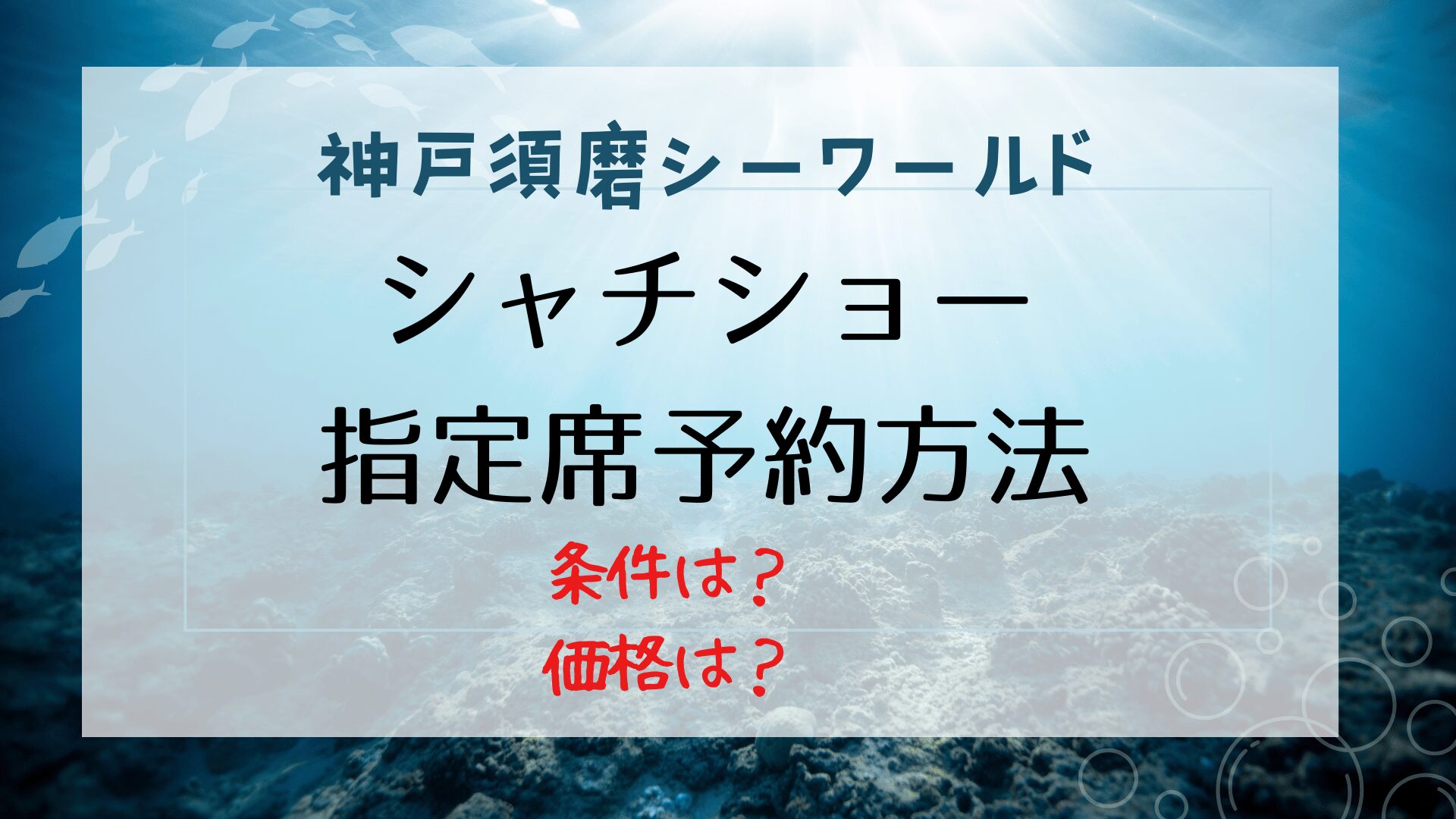 須磨シーワールドのシャチショーの指定席予約方法